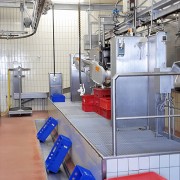 Schlachthalle - Teil 2